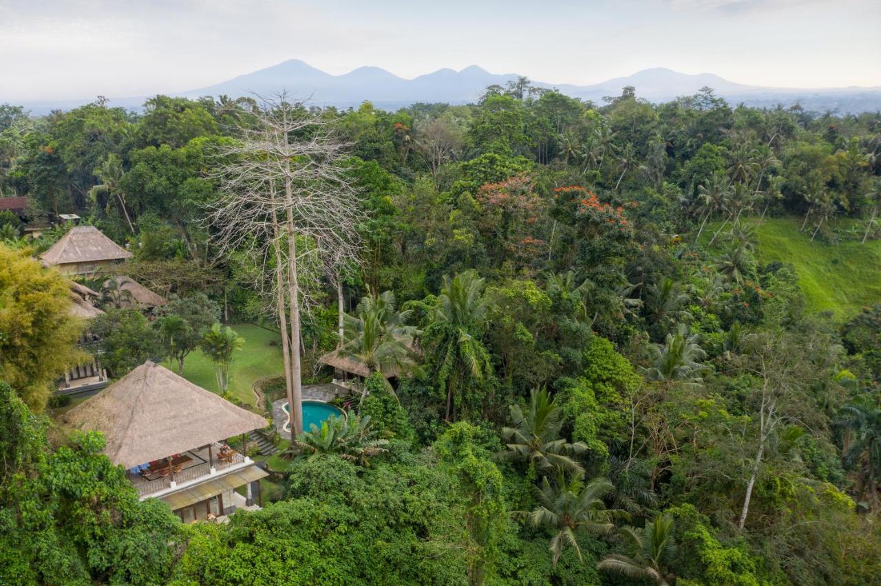 The Allure Ubud Villas Экстерьер фото